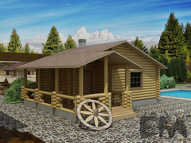 Portfolio Item 12